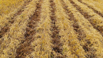 Slokšņu dziļirdinātājs Strip-Till