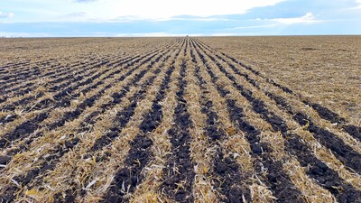 Slokšņu dziļirdinātājs Strip-Till