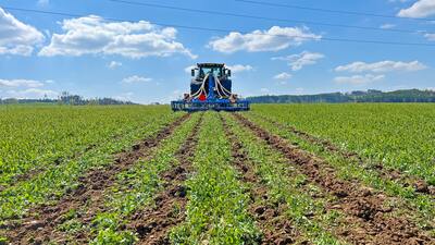 Strip-till cultivator Strip-Till