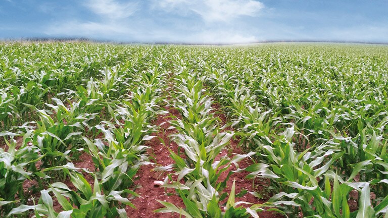 Сеялка точного высева Impact