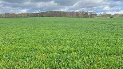 Ралничкова сеялка Falcon PRO Tandem