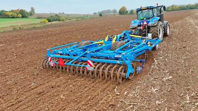 Dlátový kyprič Terrix