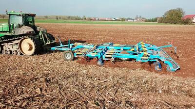 Dlátový kyprič Terrix