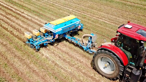 Täppiskülvik Impact