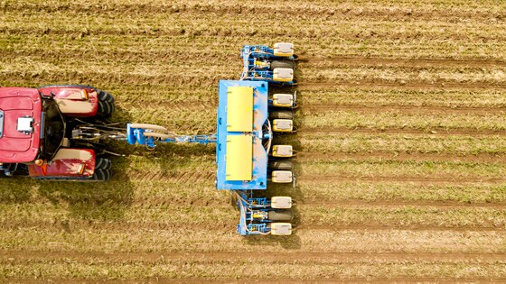 Täppiskülvik Impact