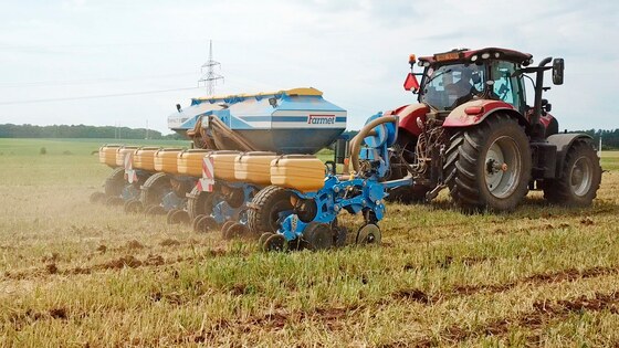 Täppiskülvik Impact