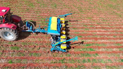 Täppiskülvik Impact