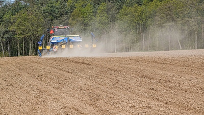 Täppiskülvik Impact