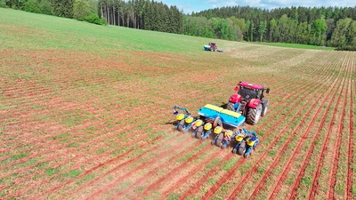 Täppiskülvik Impact