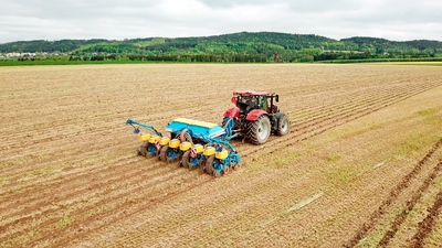 Täppiskülvik Impact