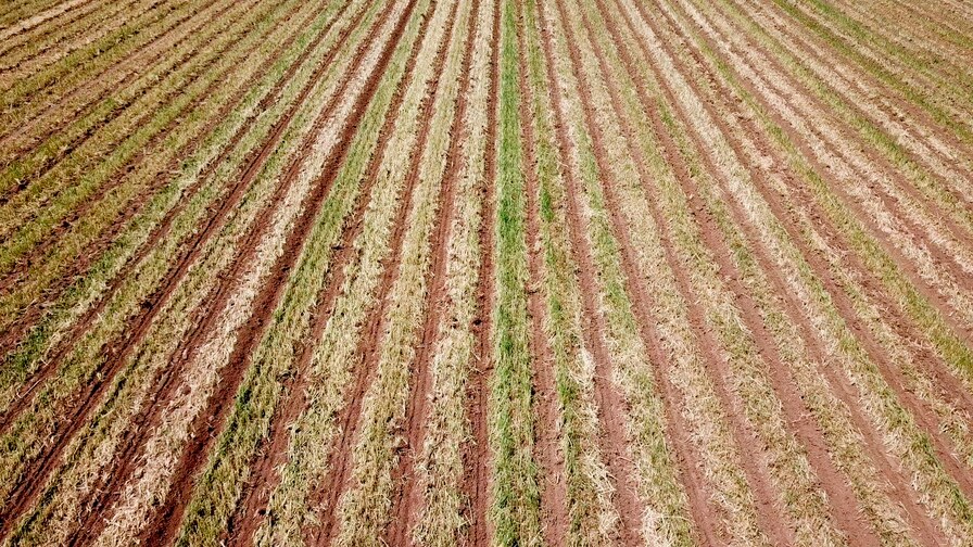 Täppiskülvik Impact