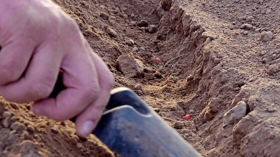 Täppiskülvik Impact