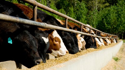 Однократное прессование с экструзией