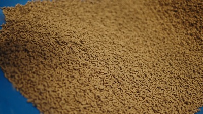 Кормовий екструдер - FE 100