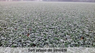 Vyšší výnos díky přímému setí do strniště