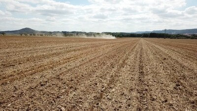 Vyšší výnos díky přímému setí do strniště