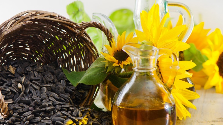 Příběh slunečnicového oleje