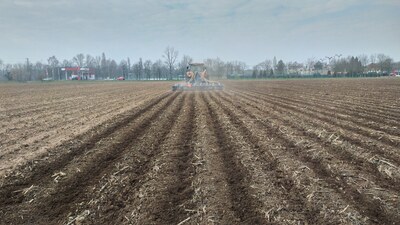 Strip soil processing before corn sowing