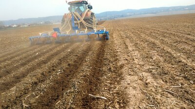 Strip soil processing before corn sowing
