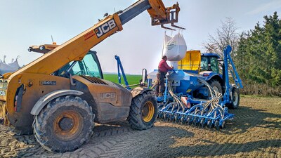 Wszyscy obstawiają „właściwy” niebieski kolor