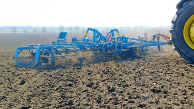 Wszyscy obstawiają „właściwy” niebieski kolor