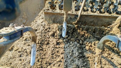 Wszyscy obstawiają „właściwy” niebieski kolor