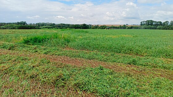 Посів трьох культур Falcon Fert+