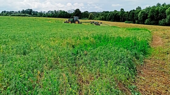 Посів трьох культур Falcon Fert+