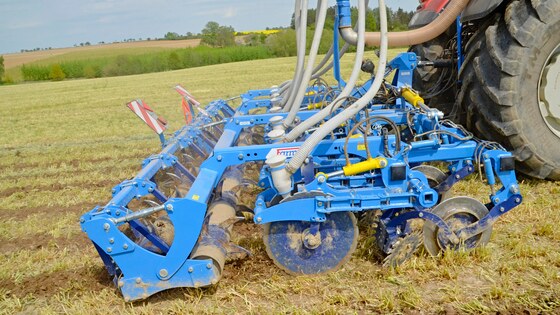 Sowing corn after strip-till