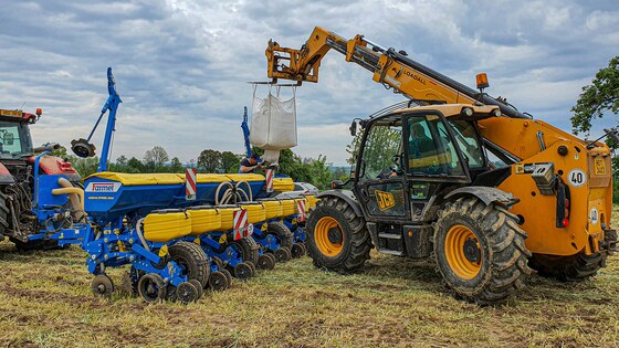 Sowing corn after strip-till