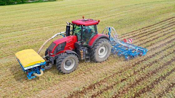 Sowing corn after strip-till