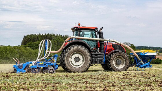 Sowing corn after strip-till