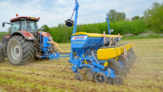 Sowing corn after strip-till