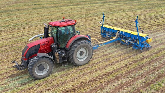 Sowing corn after strip-till