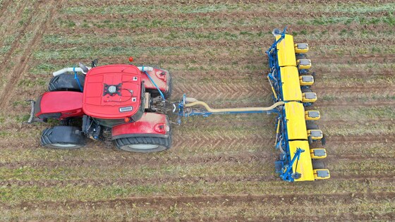 Sowing corn after strip-till