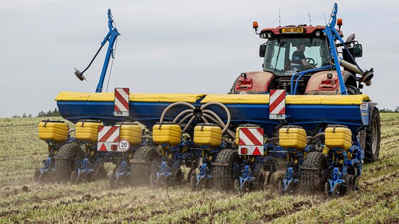 Sowing corn after strip-till