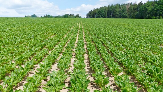 Kompaktomat - reliable pre-sowing preparation