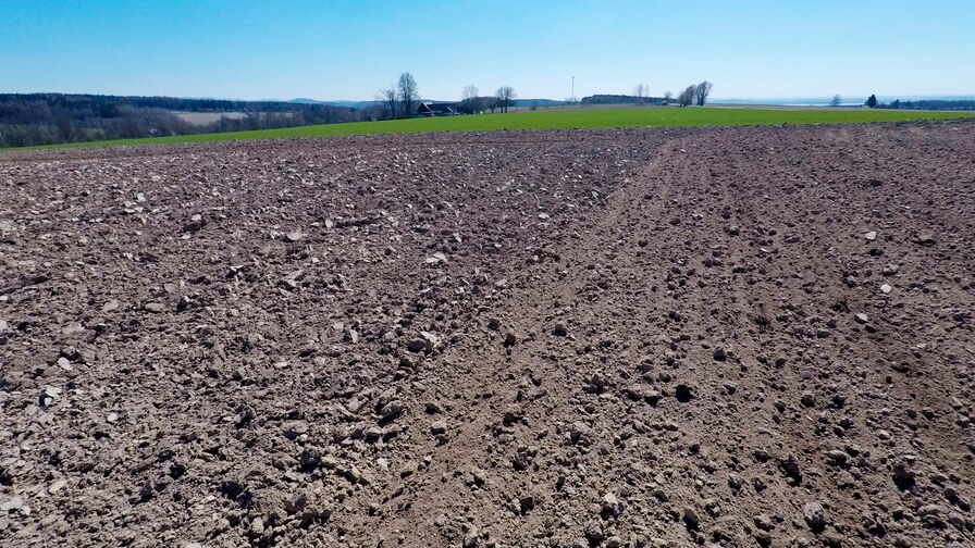 Successful continuation of cooperation with the family farm