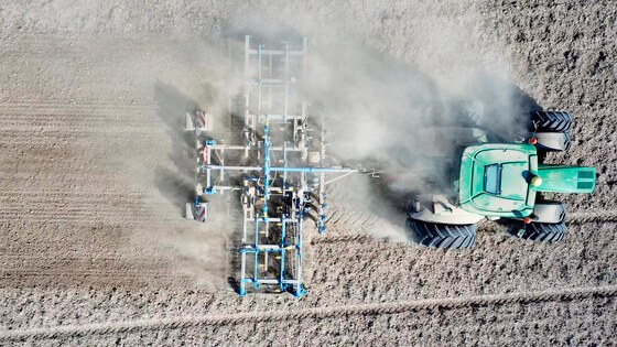 Dokonalé porosty cukrovky po přípravě Kompaktomatem