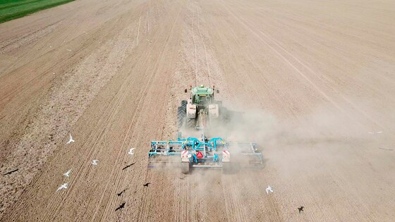 Dokonalé porosty cukrovky po přípravě Kompaktomatem
