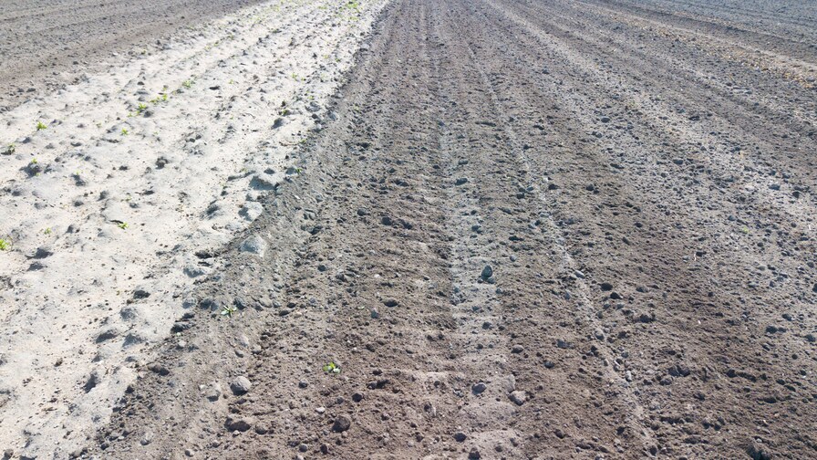 Kompaktomat při zpracování půdy pro zeleninu