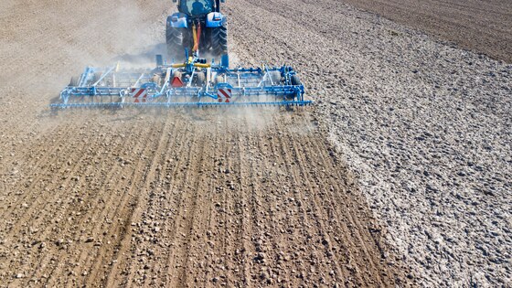 Verso and Digger on a Czech farm