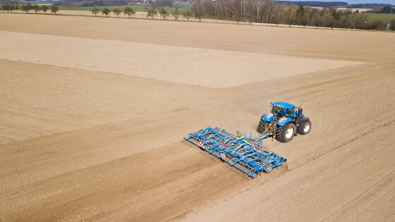 Verso and Digger on a Czech farm