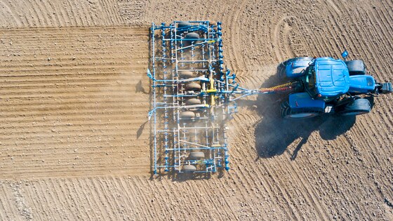 Verso and Digger on a Czech farm