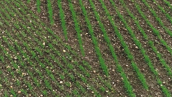 Predstavenie Farmet AGM