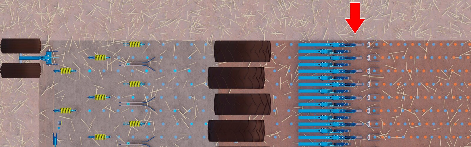 Semis Strip pour des rendements élevés en colza