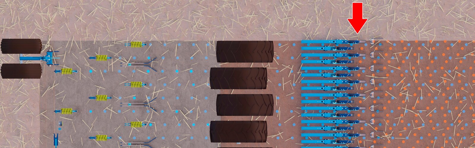 Semis Strip pour des rendements élevés en colza