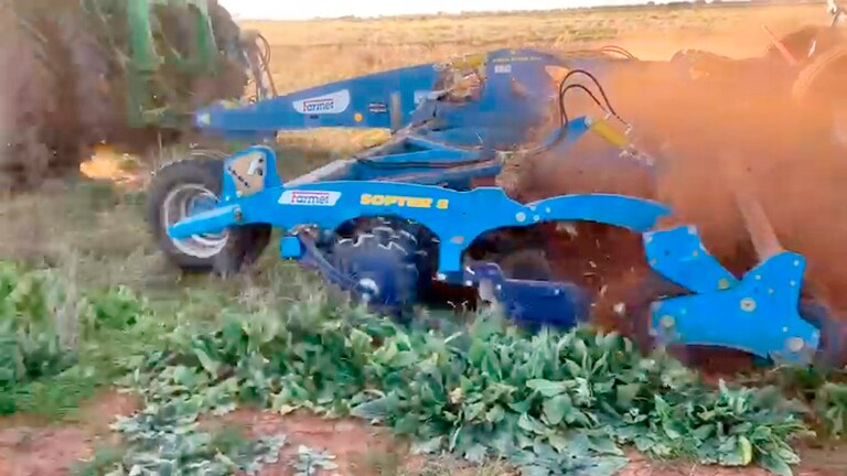 Softer impressed farmers in Australia Softer impressed farmers in Australia