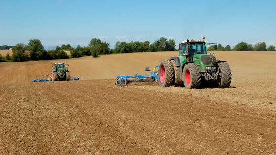 Matching Fantom and Falcon