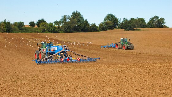 Matching Fantom and Falcon
